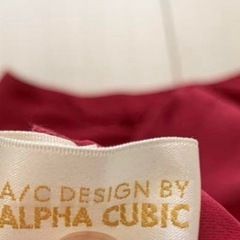 未使用 ALPHACUBIC ブラウスの画像