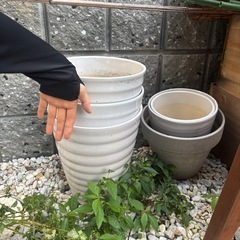 鉢植え（陶器&プラスチック）
の画像