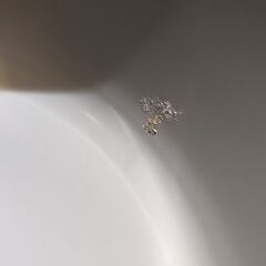 酵素玄米セット！電気圧力鍋+保温用炊飯器 値段交渉可の画像