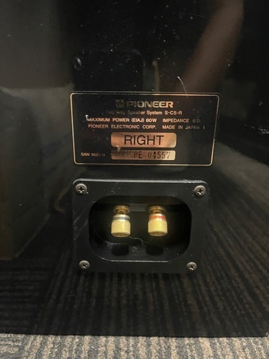 Pioneer S-C5-L ペア　ライト　レフト　スピーカー Pioneer S-C5-L ペアライトレフトスピーカー (ポロカ) 桜木の