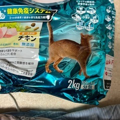 キャットフードピュリナワンメタボリック一袋譲ります！の画像