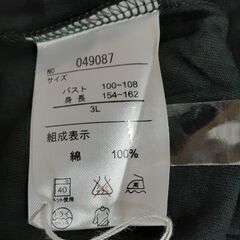 オーガニックＴシャツ　T-296の画像