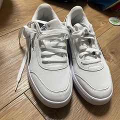 PUMA softfoam+の画像