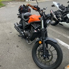 ナイツー仲間募集！