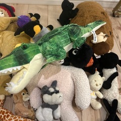 ぬいぐるみたちの画像