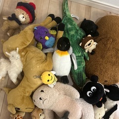 ぬいぐるみたちの画像