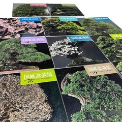 【美品】国風盆栽展　全11巻　総額9万円相当❣️の画像