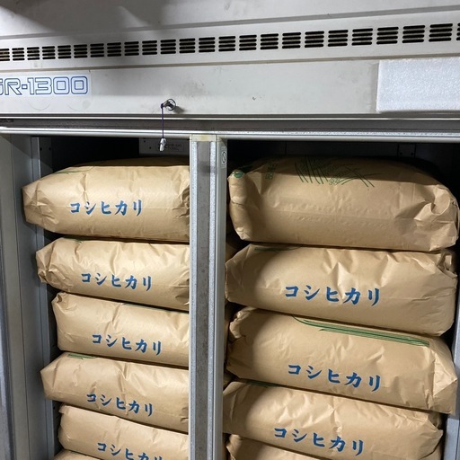 残り僅か！新米コシヒカリ