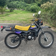 スズキTS５０Wハスラーの画像