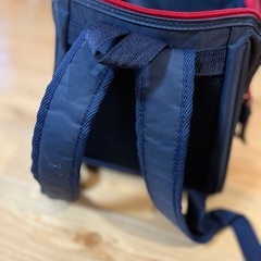 たいすい系列保育園のリュックの画像