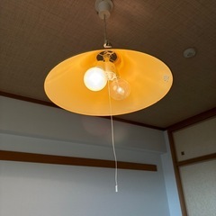 ペンダントタイプ天井照明（2灯式）の画像