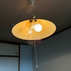 ペンダントタイプ天井照明（2灯式）の画像