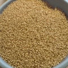 古米　令和6年製 コシヒカリ　玄米 30kg (1)
  の画像
