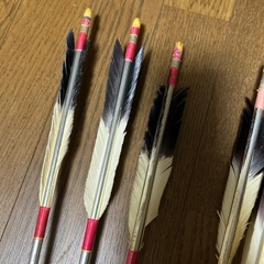 弓道の矢の画像
