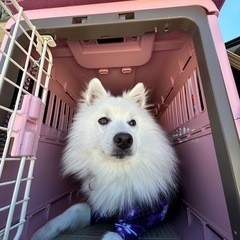 秋の関節ケアで元気にお散歩🐶🍁