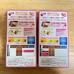 ビゲン 香りのヘアカラー 2箱セットの画像