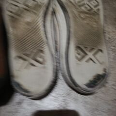 靴　ＶＡＮＳ　コンバースの画像