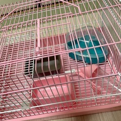 ハムスター ゲージ 飼育セットの画像