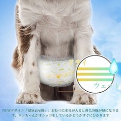 犬用オムツ PetSoft男の子M48枚入の画像