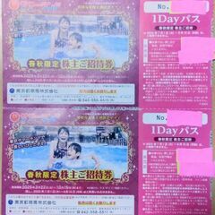 サマーランド 株主優待春秋限定ご招待券１Dayパス　6枚（バラ売り可）の画像