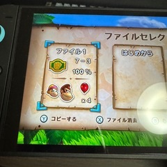 ドンキーコングトロピカルフリーズの画像