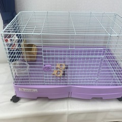うさぎゲージ　うさぎ小屋　サービス品5点付き　ペットゲージの画像