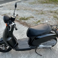 原付　実働　書類有　ホンダ　トゥデイの画像