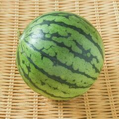 スイカ種子の画像