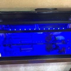 水槽セットの画像
