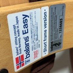 バランスイージー RYBO Balans EASY 姿勢矯正用チェアの画像