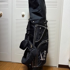 美品！WORLD EAGLE(ワールドイーグル) F-01α メンズ ゴルフ フルクラブ セット【右用】フレックスR WE-J-F-01-MRH-Rの画像