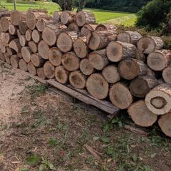 【林業家の薪】 楢 玉切り 高密度超上質 選別材の画像