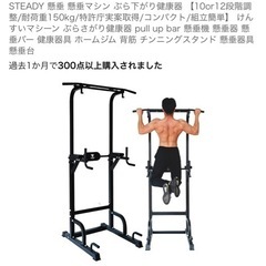 STEADY懸垂マシンの画像