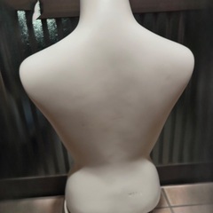 トルソー マネキン 半身マネキン 洋服の画像