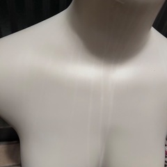 トルソー マネキン 半身マネキン 洋服の画像