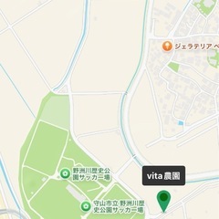 9/23(火)10時または16時　
農園お取り引き限定🫛黒豆枝豆Ｂ品の画像
