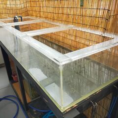 180㎝水槽の画像