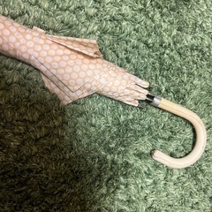 小さい傘の画像