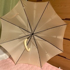 小さい傘の画像