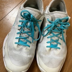 asicsグライドノヴァ24.5の画像