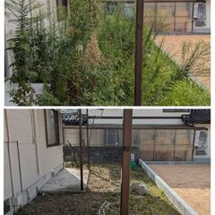 山口県内の草刈り・空き家管理・太陽光草刈り承ります【ツリーサポート】 - 剪定/造園