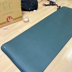 アブローラー　まっとマットの画像