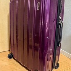 海外旅行用キャリーケースの画像