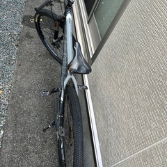 TREK トレック マウンテンバイク  marlin 自転車 本体の画像