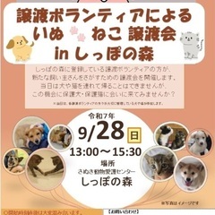 9/28（日）譲渡ボランティアによる犬猫譲渡会