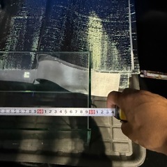 水槽
の画像