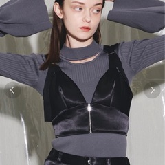 VIOLETTA フロントジップサテンビスチェ 黒　サテンの画像