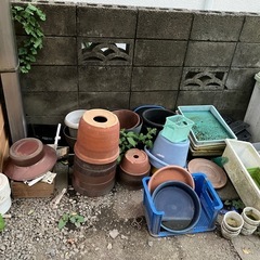 植木鉢など無料の画像