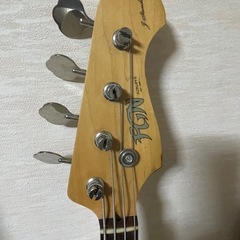 FUJIGEN(FGN)の画像