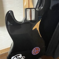 FUJIGEN(FGN)の画像